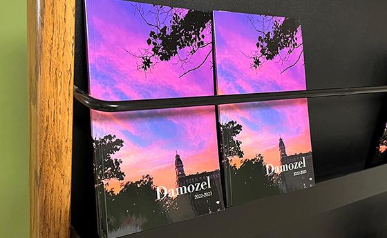 The 2022-23 issue of Damozel