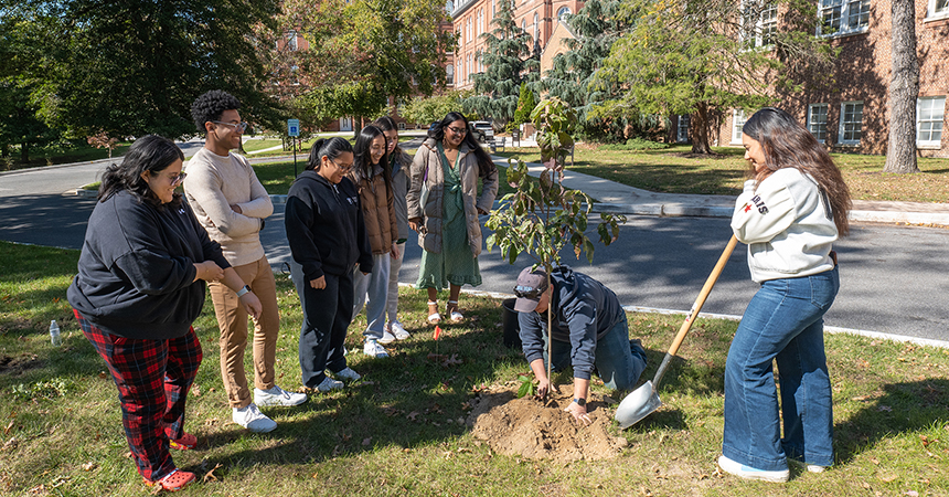 Students plant a tree during Community Day