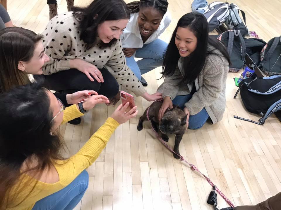 Group of female students petting a dog