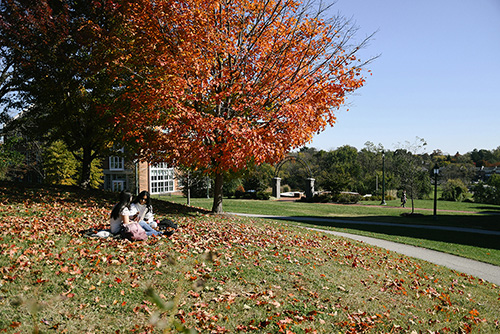 two students sit under a tree studying during fall at NDMU