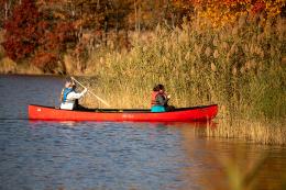 SOE Canoe Trip on Dundee Creek