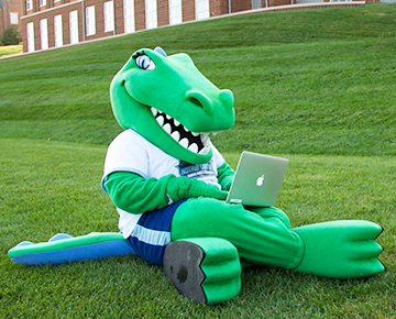 Gabby the Gator sitting on campus with a laptop