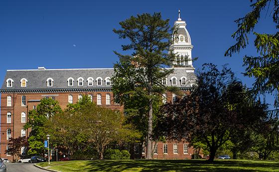 Trees in front of Caroline Hall