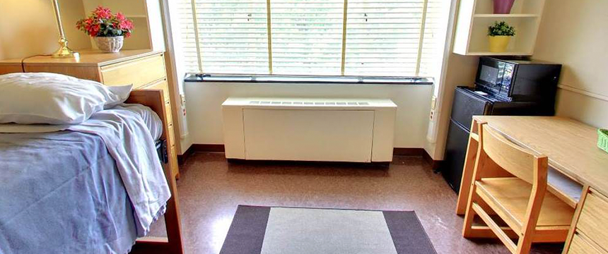 Dorm room with a bed, desk, shelves, and a window