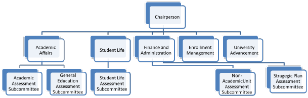 assessment organizational chart