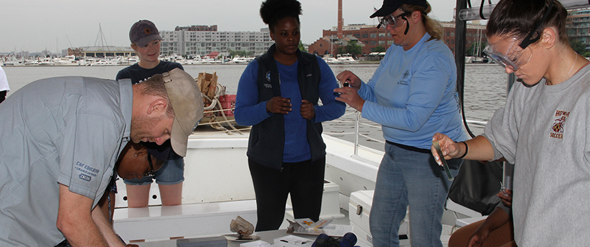 Hands-On, On the Chesapeake Bay
