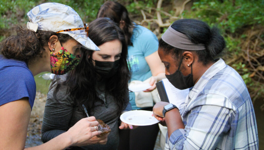 Chesapeake Bay Course Gives Students a Hands-on Education