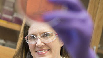 NDMU Biology Professor Gets Crafty with Agar Art