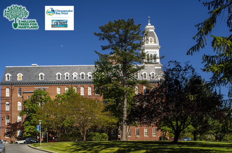 NDMU Awarded State Grant to Plant Over 175 New Trees on Campus