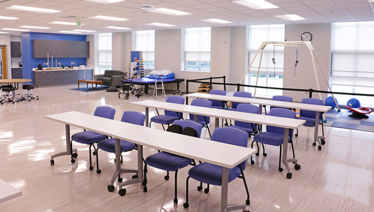 NDMU’s Occupational Therapy Doctorate Program Earns National Accreditation