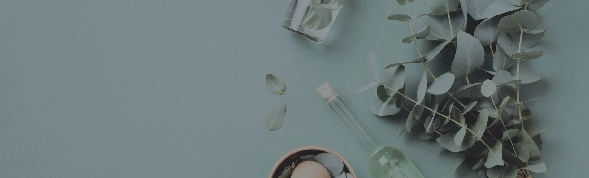 Master of Science in Clinical Herbal Medicine