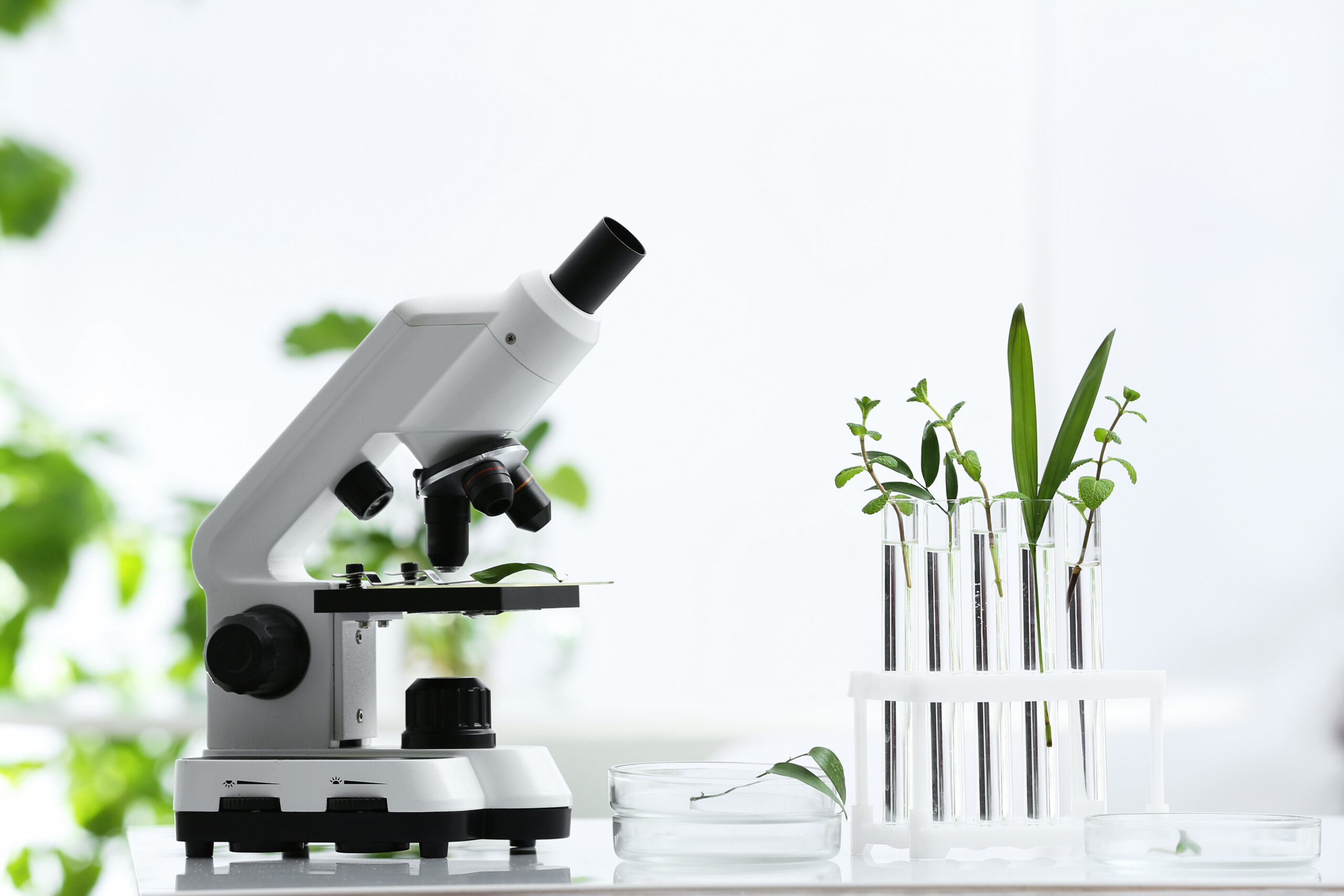Master of Science in Herbal Product Design & Manufacture